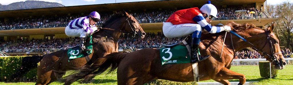 Pferderennen Wetten - Header