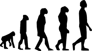 Entwicklung der Sportwetten - Evolution
