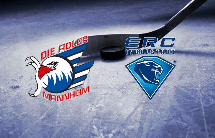 Sportwetten Test - Eishockeywetten