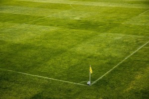 Eine Ecke Marktanteil sichern sich Buchmacher mit Bundesliga und Co