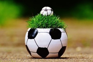 european-championship-1435811_640