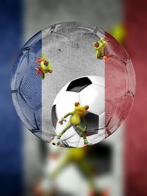 Geplatzt wie eine Seifenblase: Der Traum eines Titels für Frankreich und damit auch die Vorhersagen von Goldman Sachs.