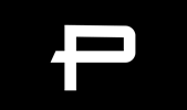 Punchbets Logo