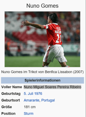 Fußballspielerprofil: Nuno Gomes – Portugals gescheiterter Hoffnungsträger